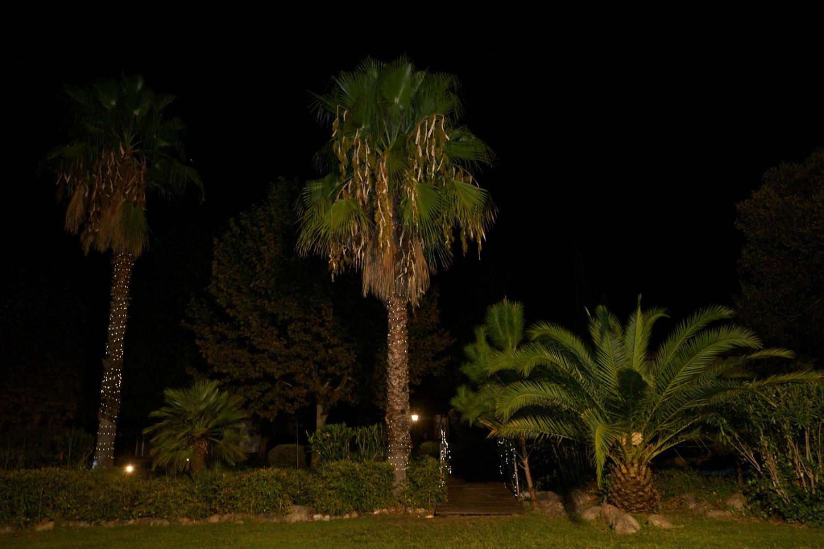 Hotel El Mirlo Blanco Candeleda Dış mekan fotoğraf